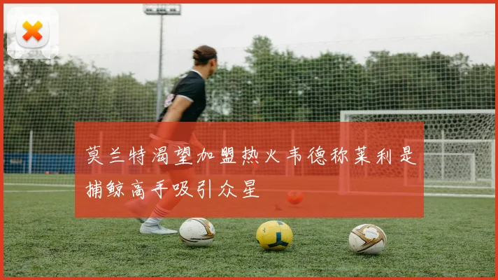 莫兰特渴望加盟热火韦德称莱利是捕鲸高手吸引众星