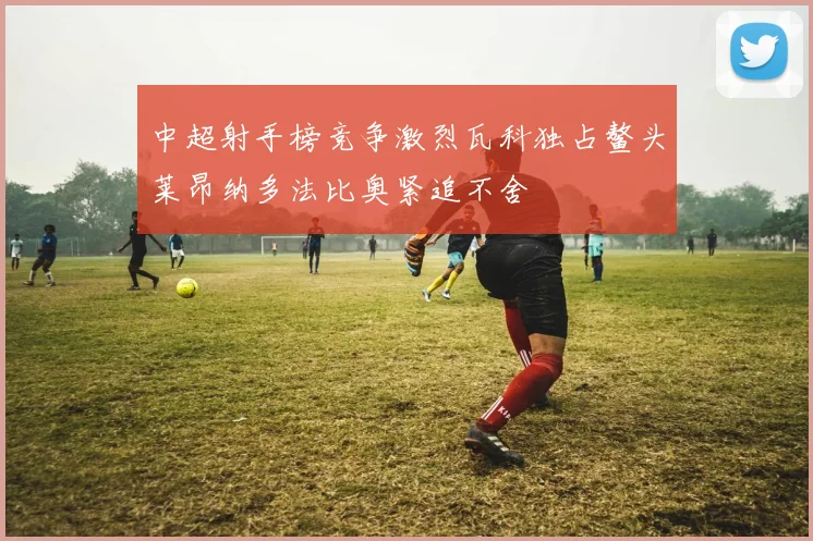 中超射手榜竞争激烈瓦科独占鳌头莱昂纳多法比奥紧追不舍