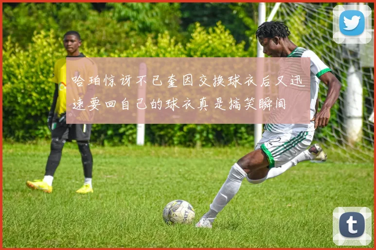 哈珀惊讶不已奎因交换球衣后又迅速要回自己的球衣真是搞笑瞬间
