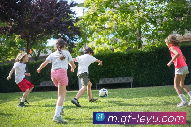 乐鱼体育平台生态图