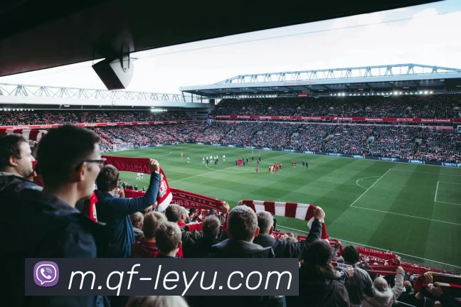 乐鱼体育APP 封面图